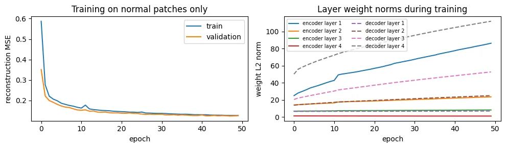 Training curve and layer weight norms of the neural network